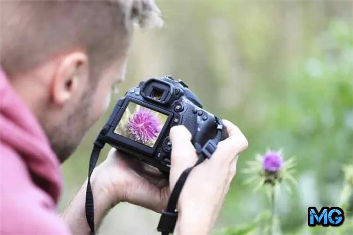 Лучшие 2022 цифровые зеркальные фотокамеры для начинающих фотографов
