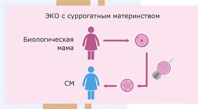 Как проводится процедура суррогатного материнства - Рисунок 1.