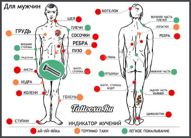 Карта болезненности татуировок на мужском теле