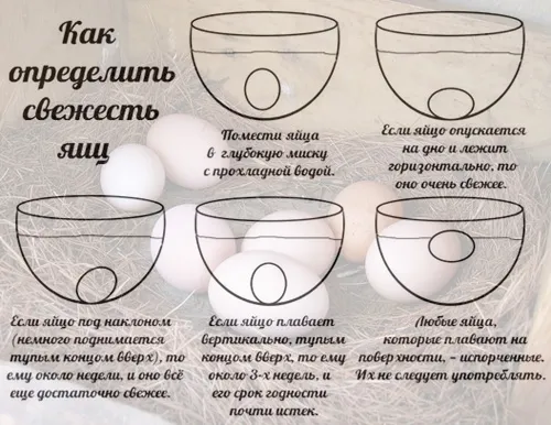 Как определить, свежее ли яйцо