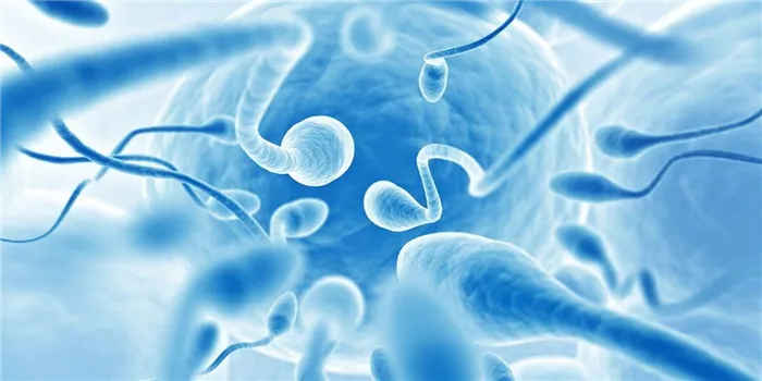Воздержание и качество спермы