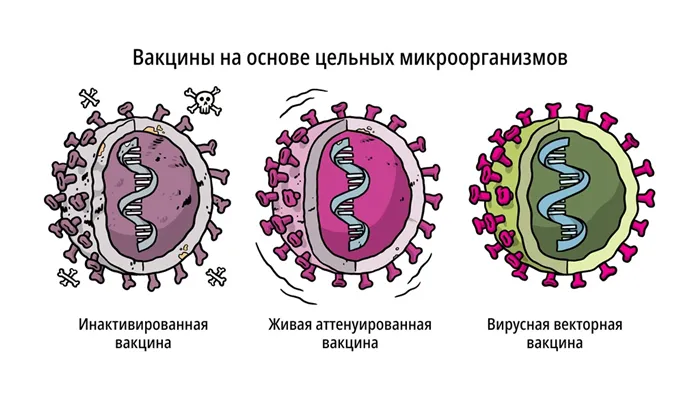 Вакцины на основе всего микробиома