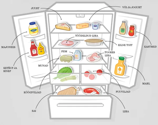 Как хранить продукты, хорошо размещенные в холодильнике