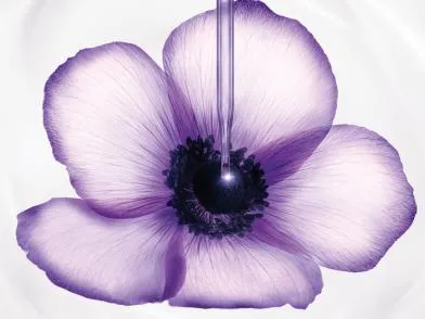 Цветок Lancôme с пипеткой на текстуре крема renergie