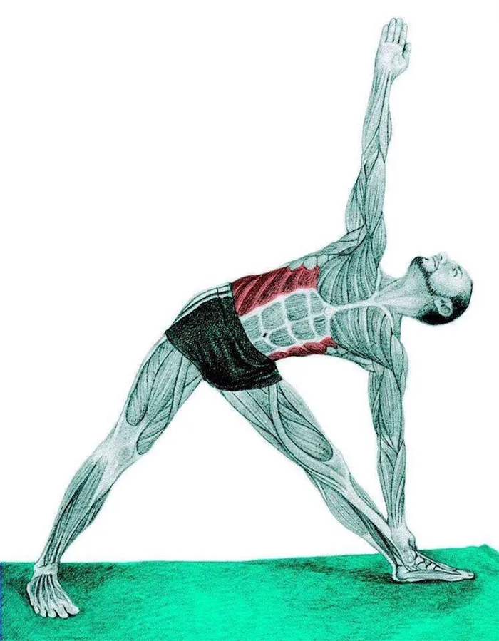 Гимнастика Oxycise: четыре лучших упражнения для похудения
