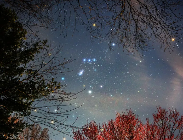 созвездие Ориона на небе
