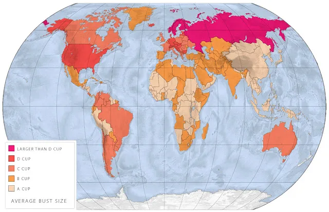 Карта мира где живут женщины с разным размером груди