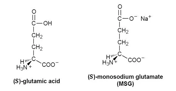 Глутаминовая кислота (слева) и глутамат натрия (справа) — те самые вещества, которые сообщают нашим вкусовым рецепторам о наличии белка в пище. Изображение с сайта flavorchemist.livejournal.com
