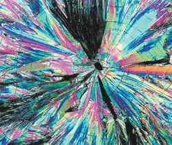 Кристаллы аскорбиновой кислоты под микроскопом. Фото М. Дэвидсона. Государственный университет Флориды, США (изображение: «Наука и жизнь»)