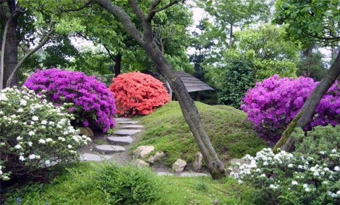 Уфимский ботанический сад