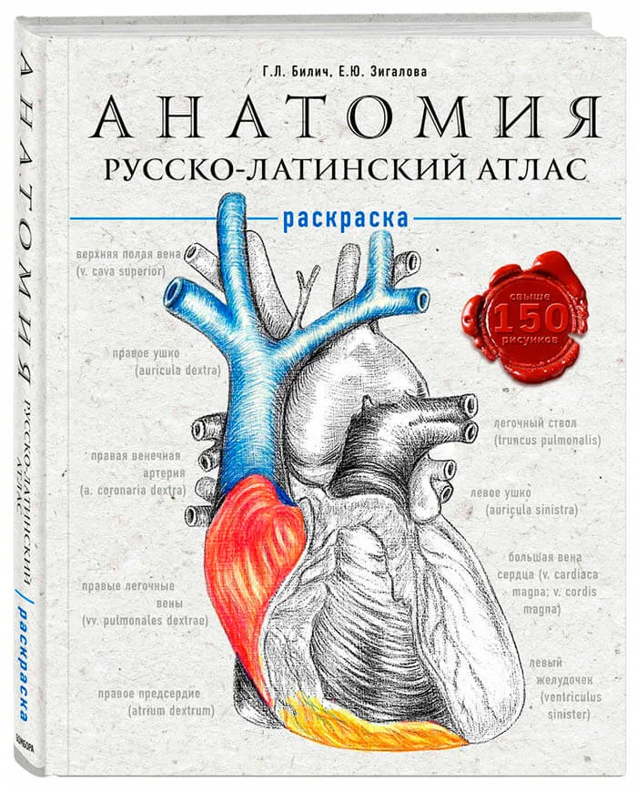 Анатомия атлас-раскраска