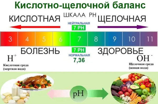 Продукты, ощелачивающие организм человека. Таблица Денисенко, Уокера. Список трав, пищевая сода при онкологии