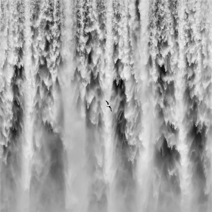 Черно-белая фотография. Тим Бут. «Биминстер, Великобритания»