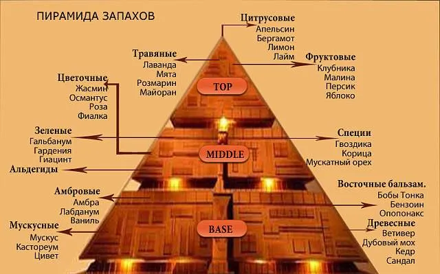 Пирамида запахов