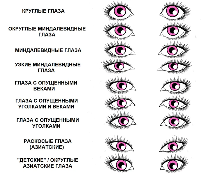 Классификация форм глаз человека