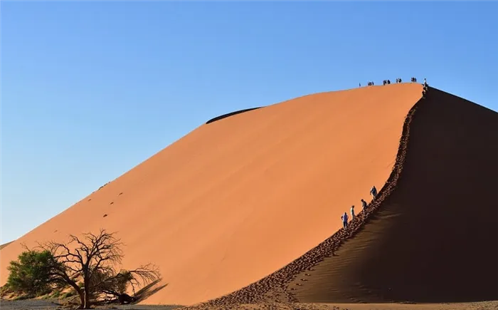 Туристы в пустыне