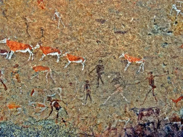 Пустыня Намиб. Где находится на карте, как образовалась, животные, фото, природа