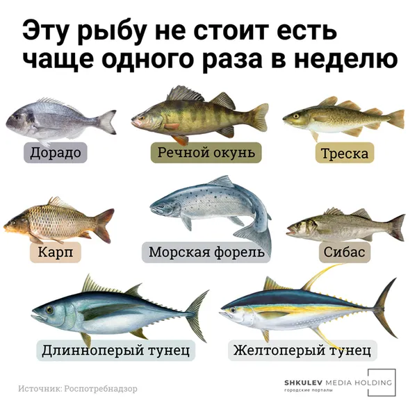 Рыба помогает усваивать в организме витамин D, но на некоторую налегать всё же не стоит — кроме пользы могут быть и побочные эффекты