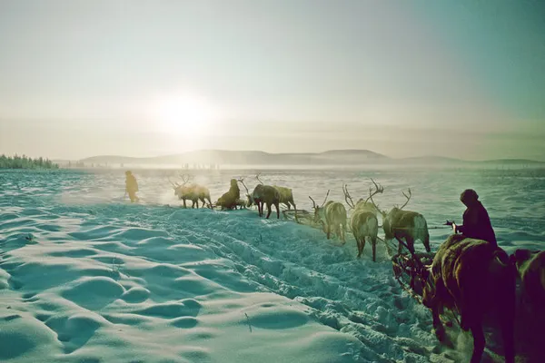 Как живут люди в Якутии при морозах до -60 и почему не уезжают?