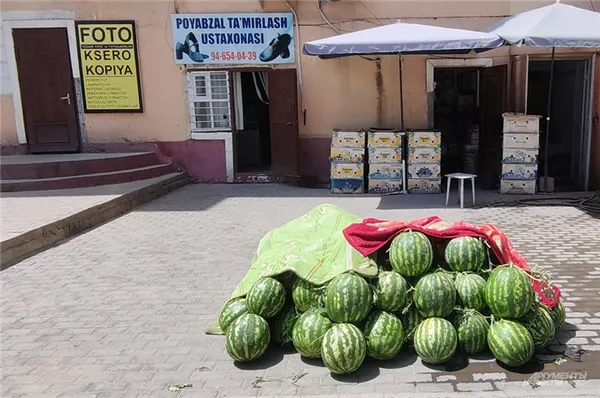 Как узбеки относятся к русским девушкам 10