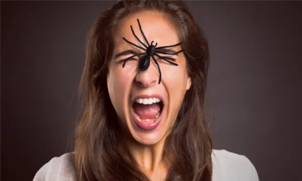 Как перестать бояться пауков 3