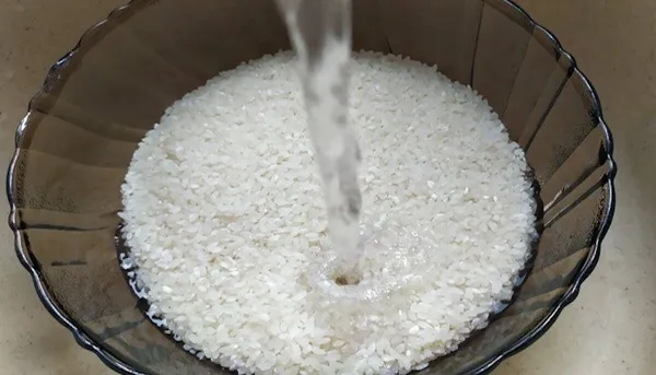 рис в воде 