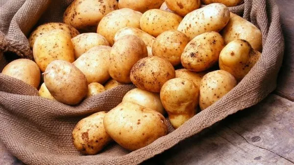 Чем можно заменить картофель на время диеты