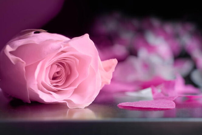 Еще один ритуал: ночь перед свадьбой супруги должны провести в постели, усыпанной лепестками роз. 