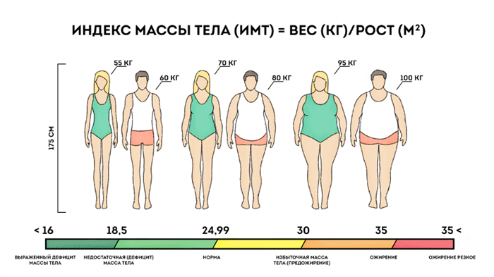 график индекса массы тела