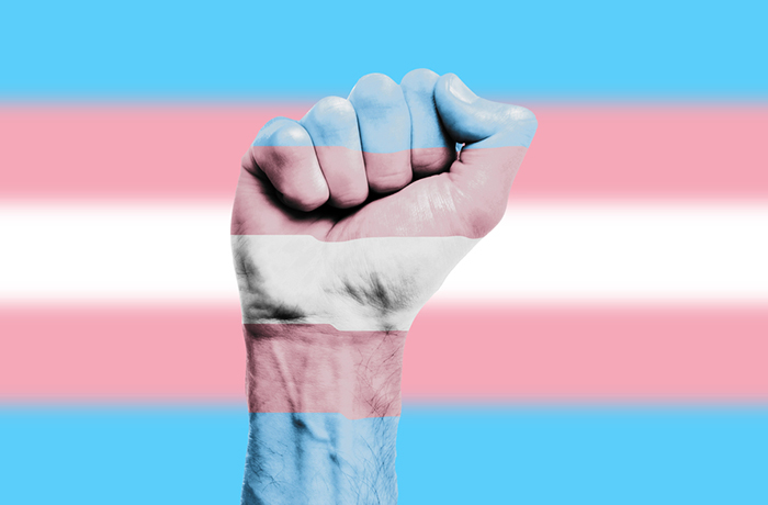 Трансгендерный флаг