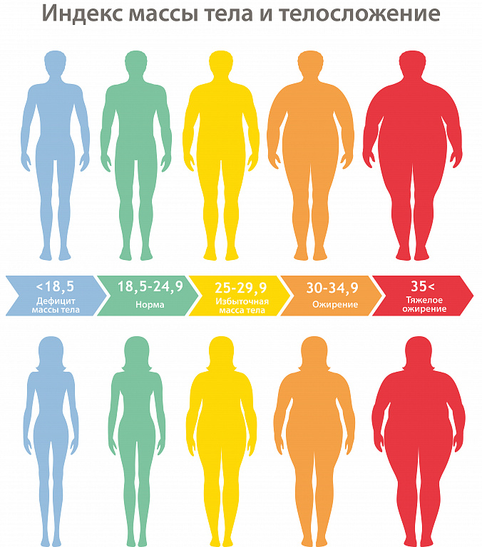ИМТ определение стадии избыточного веса и ожирения