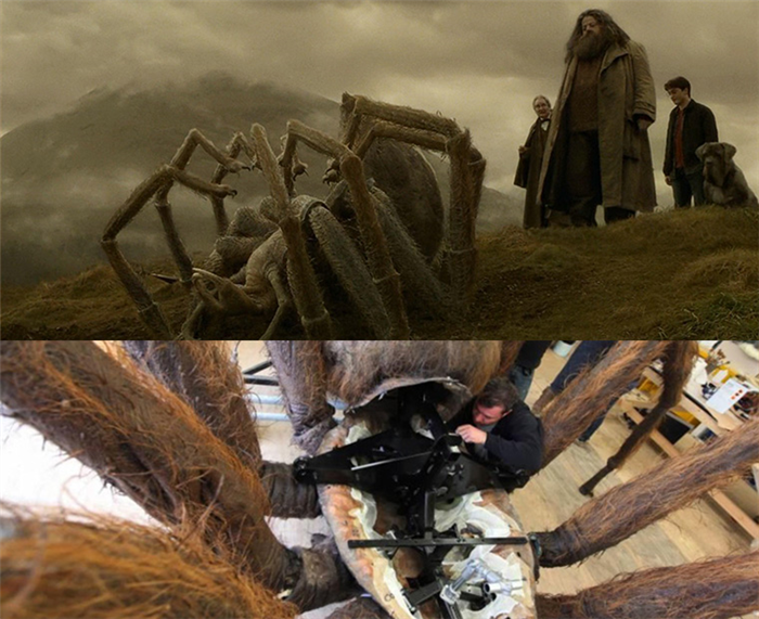 паук Арагог во время съемок Гарри Поттера